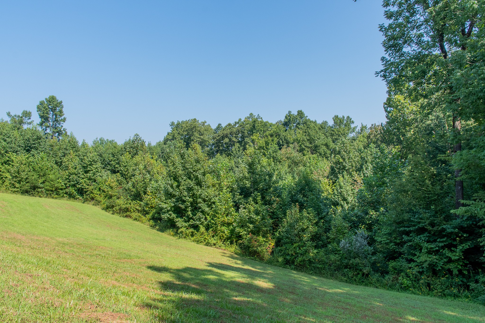 945 Fox Ridge Road Cookeville, TN 38501 - Photo 20 of 25 Gallery Image 20