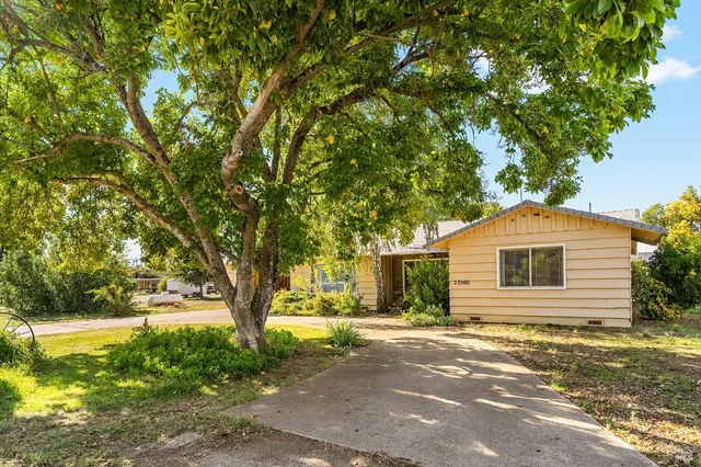 a front view of a house with a garden