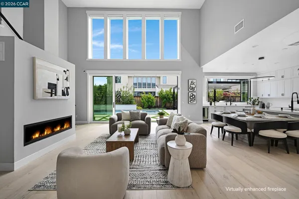 a living room with furniture potted plant and a fireplace