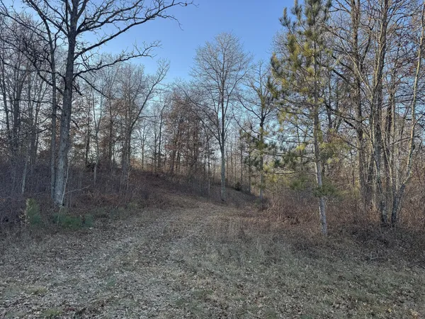 $39,900 | Tbd Pow Road, Springbrook, WI 54875