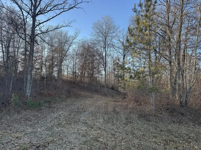 $39,900 | Tbd Pow Road, Springbrook, WI 54875