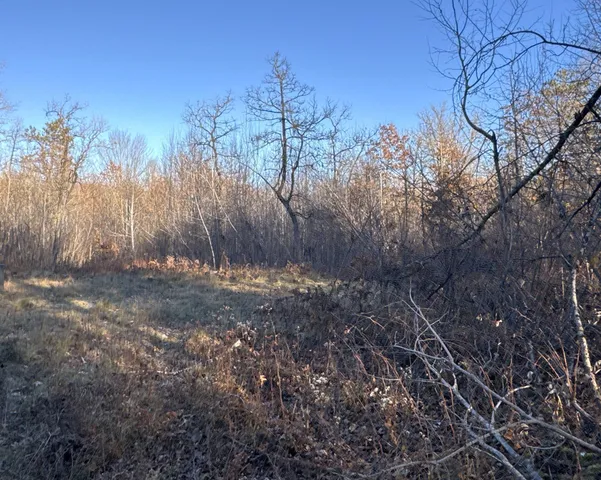 $39,900 | Tbd Pow Road, Springbrook, WI 54875