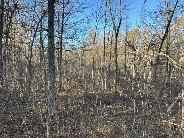 $39,900 | Tbd Pow Road, Springbrook, WI 54875