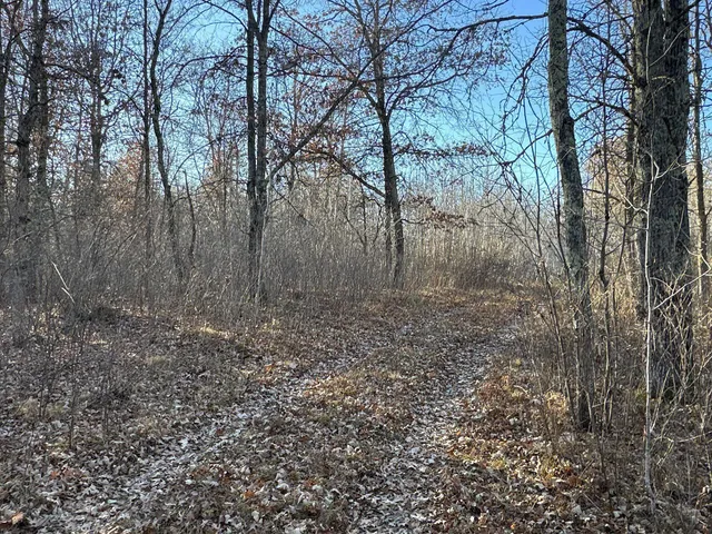 $39,900 | Tbd Pow Road, Springbrook, WI 54875