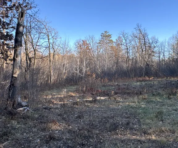 $39,900 | Tbd Pow Road, Springbrook, WI 54875