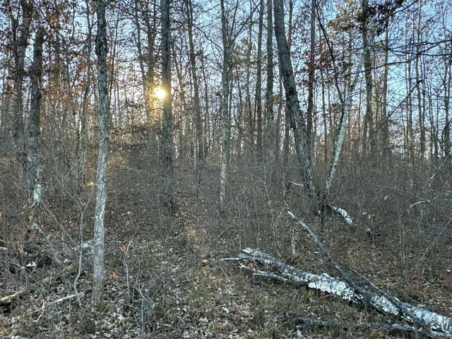 $39,900 | Tbd Pow Road, Springbrook, WI 54875