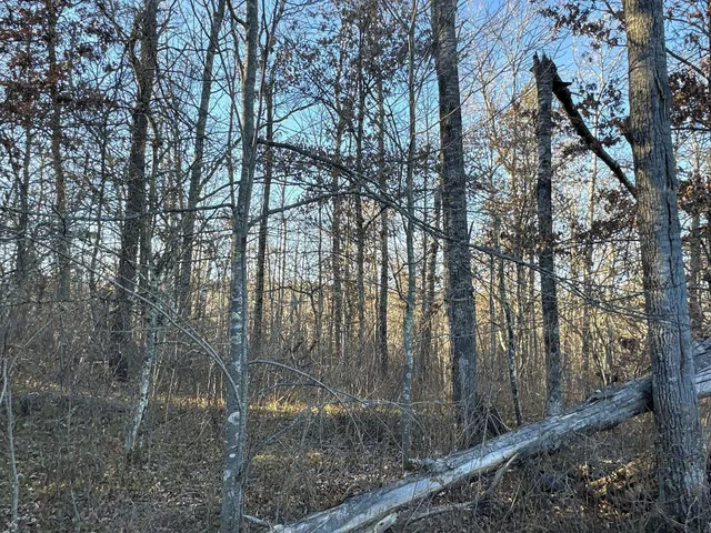 $39,900 | Tbd Pow Road, Springbrook, WI 54875