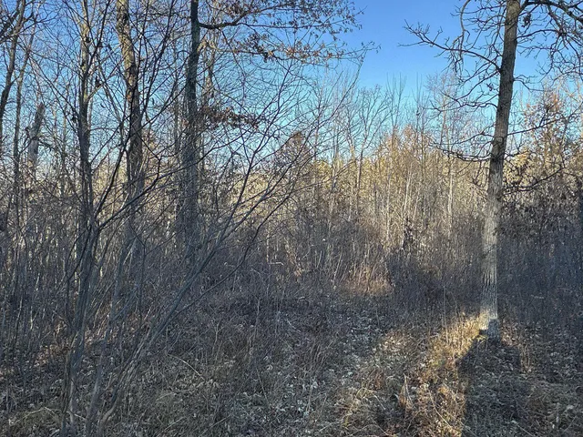 $39,900 | Tbd Pow Road, Springbrook, WI 54875
