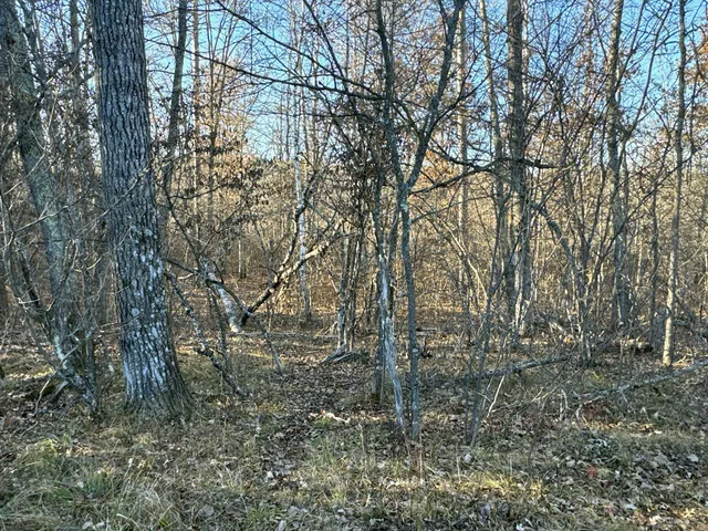 $39,900 | Tbd Pow Road, Springbrook, WI 54875