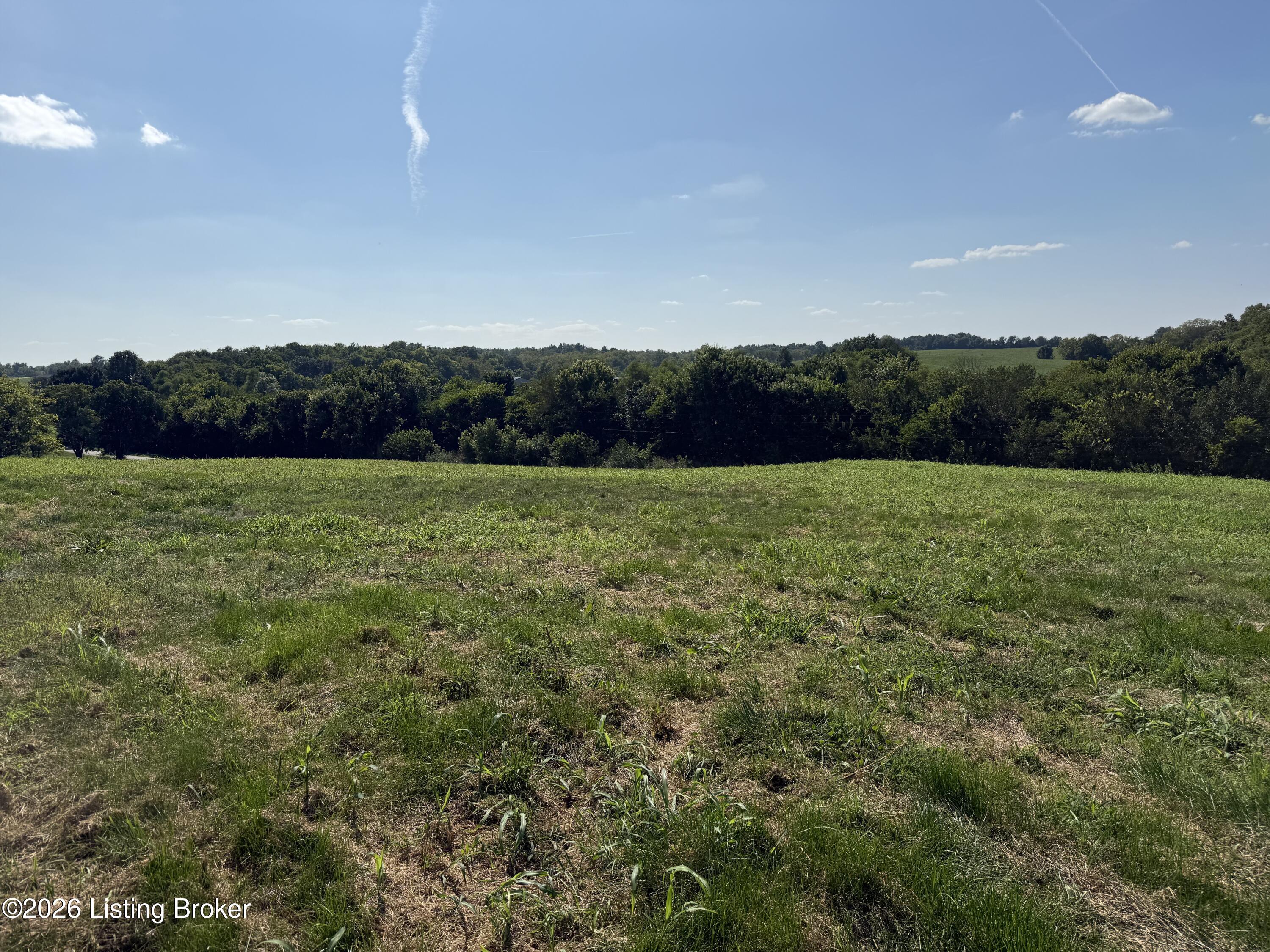 6050 Plum Run Road Bloomfield, KY 40008 - Photo 6 of 6 Plum Run 6