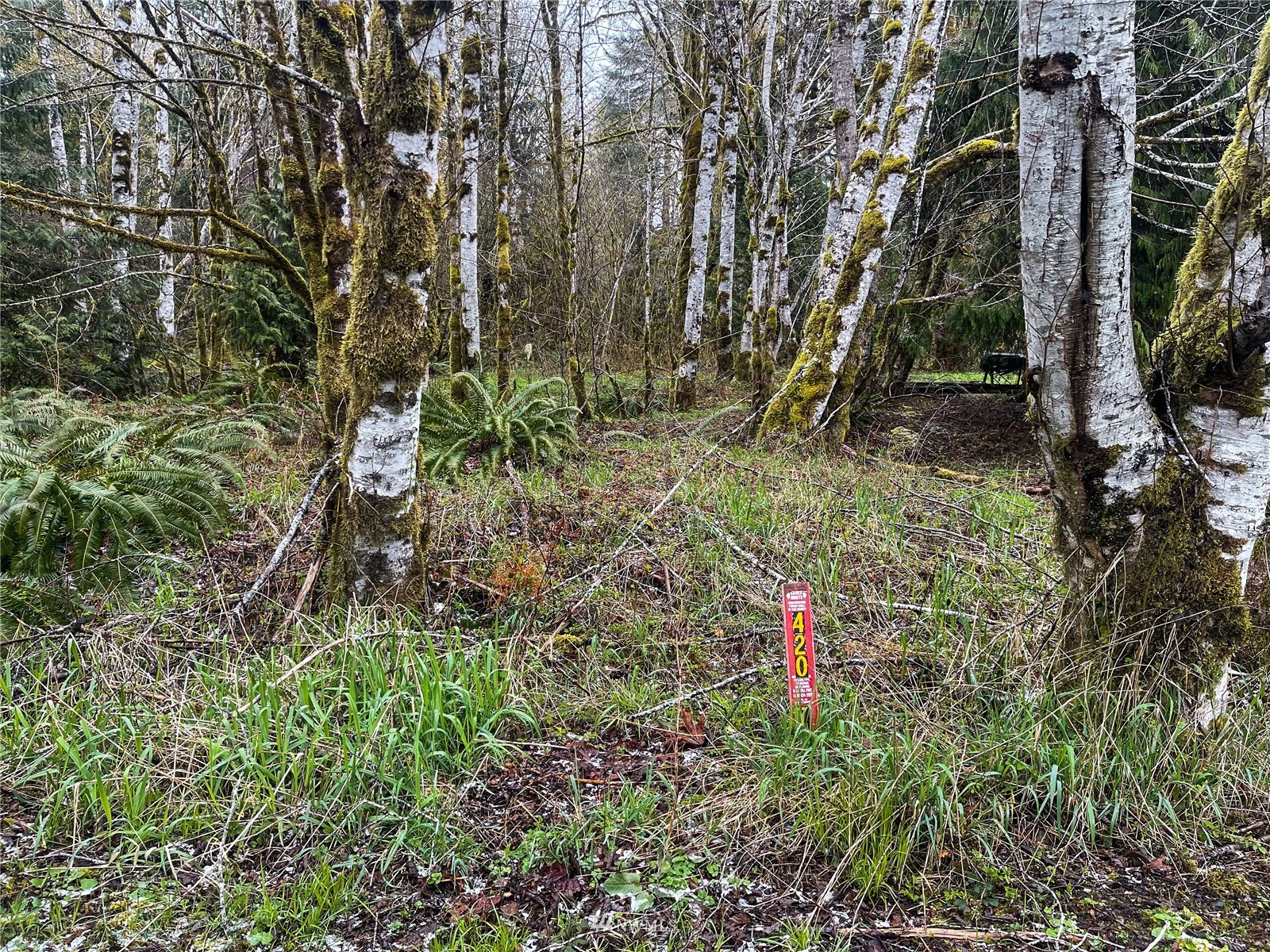 450 West Maple Rock Road Matlock, WA 98560 - Photo 35 of 40 Gallery Image 35