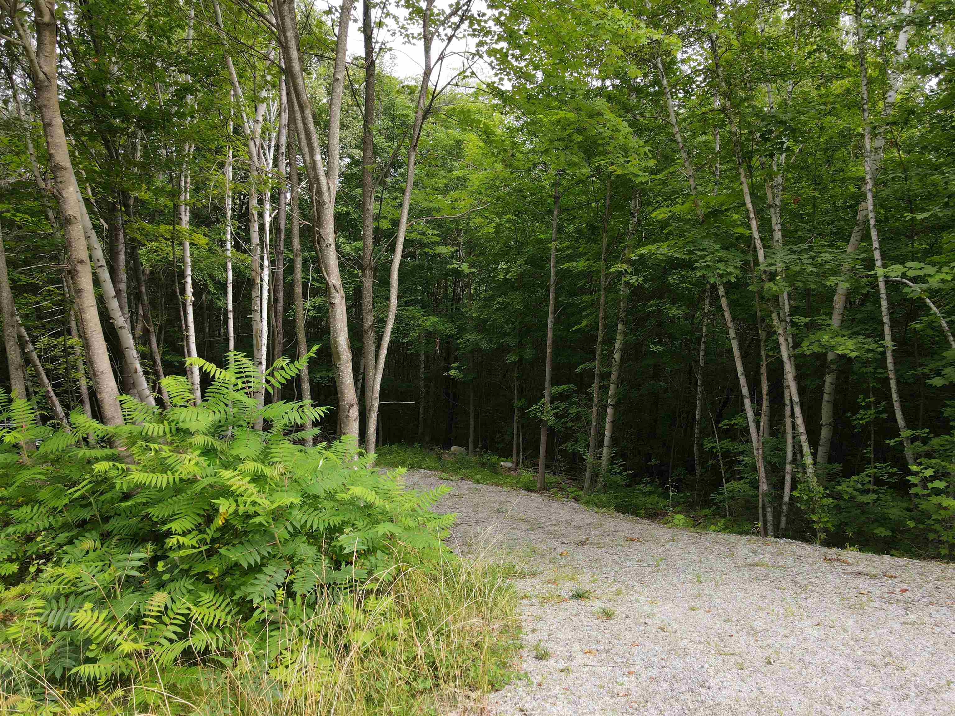 Meadow Lane Campton, NH 03223 - Photo 1 of 21