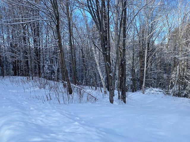 Meadow Lane Campton, NH 03223 - Photo 11 of 21