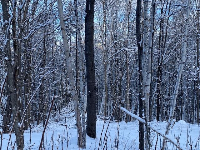 Meadow Lane Campton, NH 03223 - Photo 12 of 21