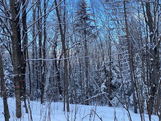Meadow Lane Campton, NH 03223 - Photo 14 of 21