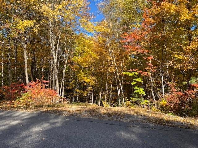 Meadow Lane Campton, NH 03223 - Photo 18 of 21