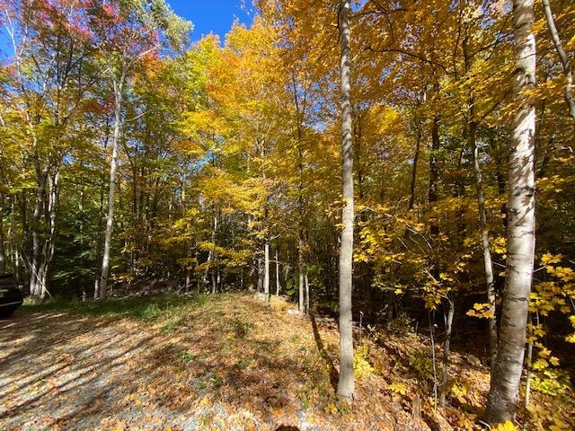 Meadow Lane Campton, NH 03223 - Photo 19 of 21