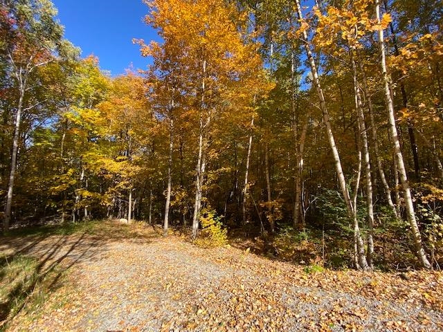 Meadow Lane Campton, NH 03223 - Photo 20 of 21