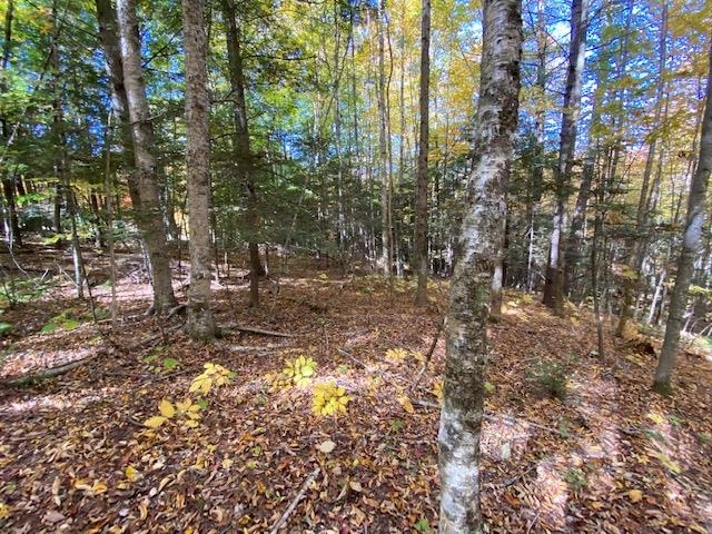 Meadow Lane Campton, NH 03223 - Photo 21 of 21