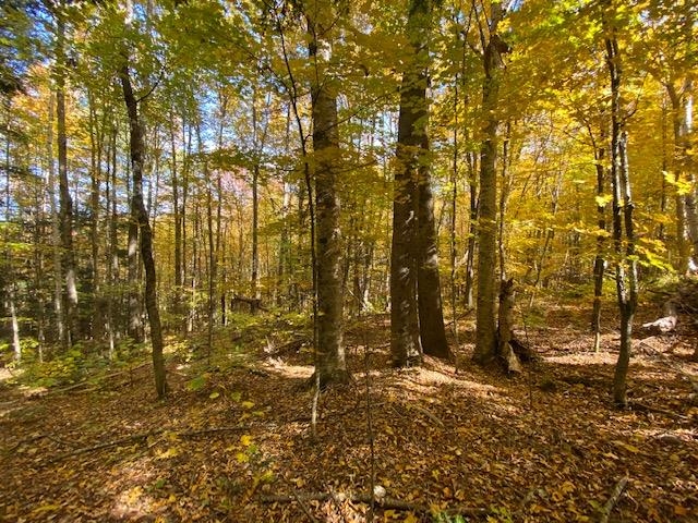 Meadow Lane Campton, NH 03223 - Photo 4 of 21
