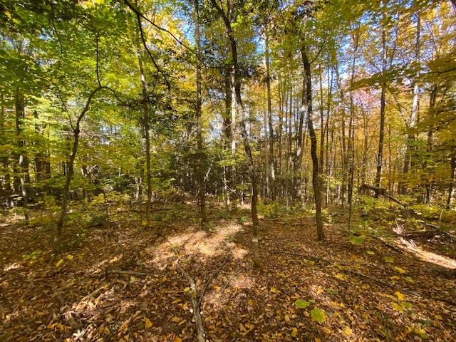 Meadow Lane Campton, NH 03223 - Photo 5 of 21