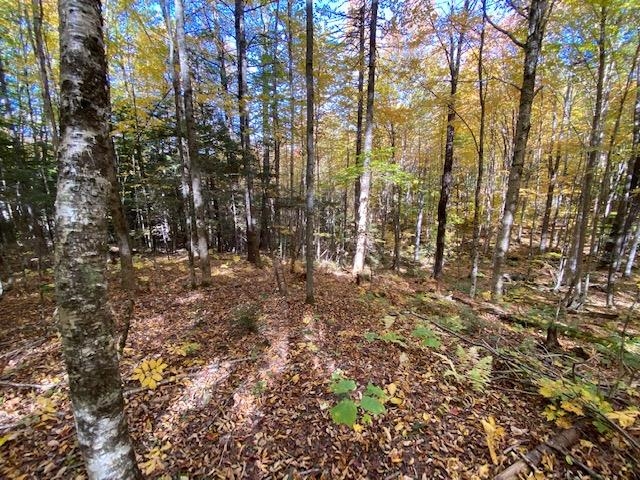 Meadow Lane Campton, NH 03223 - Photo 6 of 21