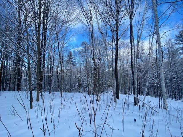 Meadow Lane Campton, NH 03223 - Photo 8 of 21