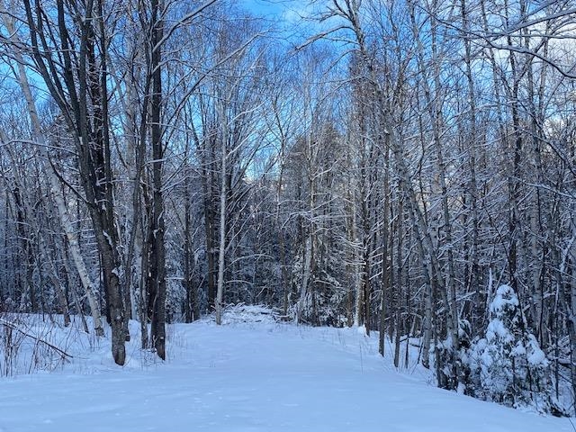 Meadow Lane Campton, NH 03223 - Photo 9 of 21