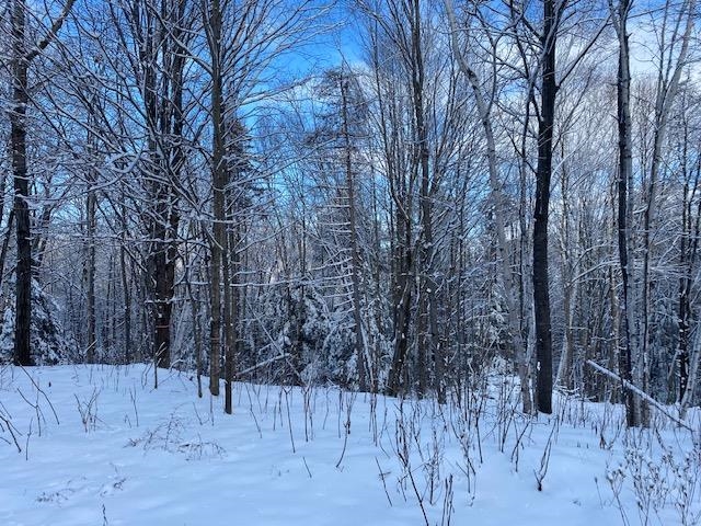 Meadow Lane Campton, NH 03223 - Photo 10 of 21