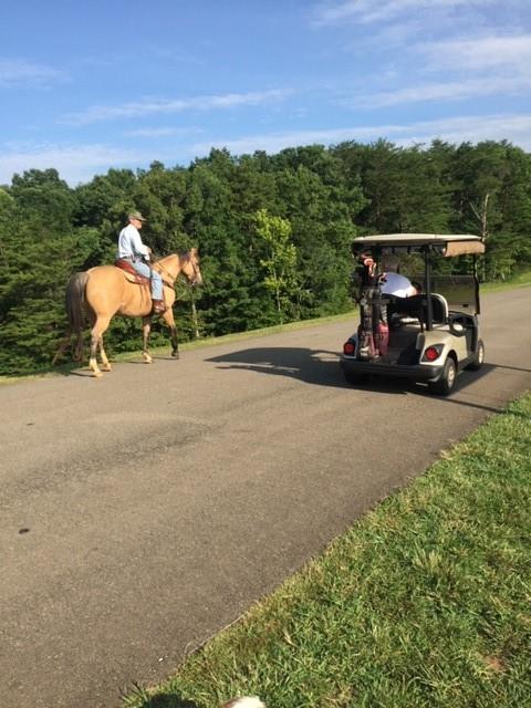 Lt1141 Oglethorpe Mt Road Jasper, GA 30143 - Photo 22 of 26 a view of car parked on road with mountain view