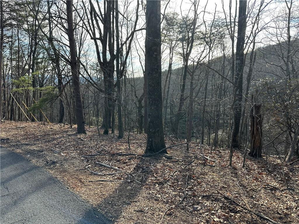 Lt1141 Oglethorpe Mt Road Jasper, GA 30143 - Photo 3 of 26 a view of outdoor space with lots of trees