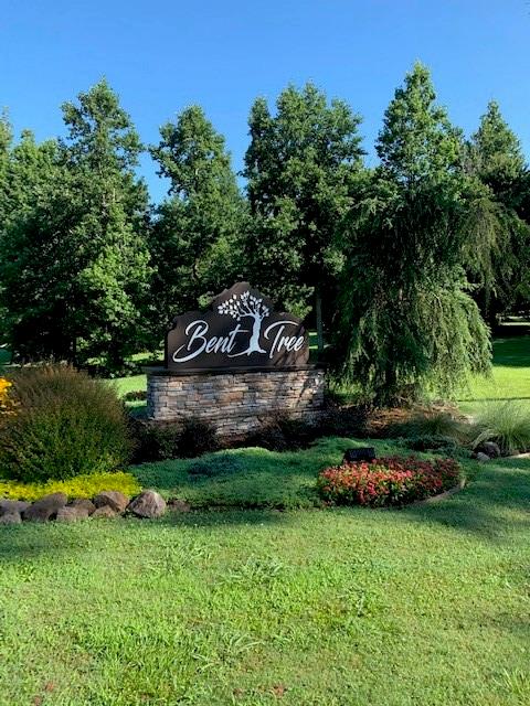 Lt1141 Oglethorpe Mt Road Jasper, GA 30143 - Photo 5 of 26 a garden view