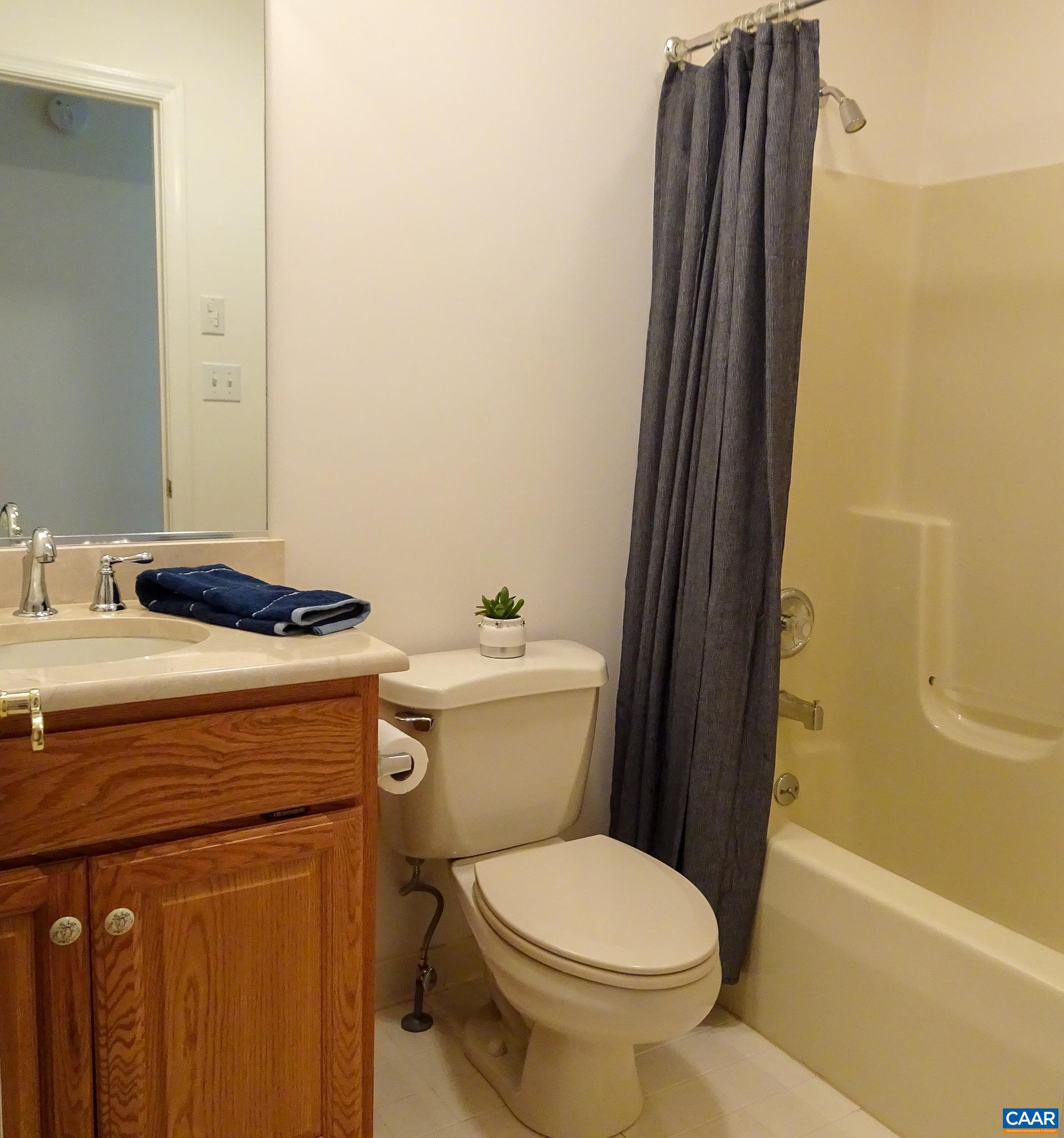 48 Maplevale Drive Palmyra, VA 22963 - Photo 26 of 47 a bathroom with a sink and a toilet