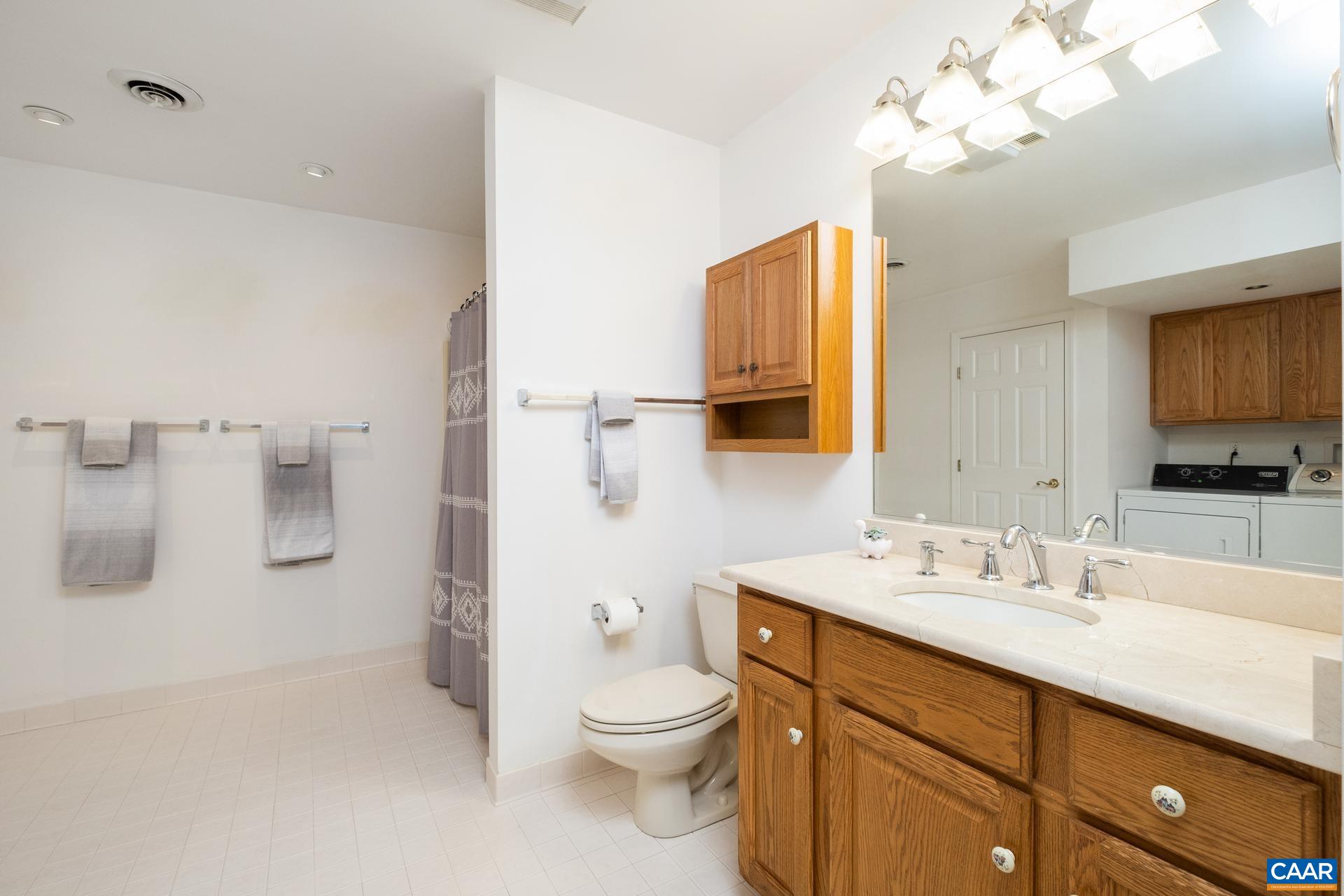 48 Maplevale Drive Palmyra, VA 22963 - Photo 32 of 47 a bathroom with a sink a toilet and a mirror