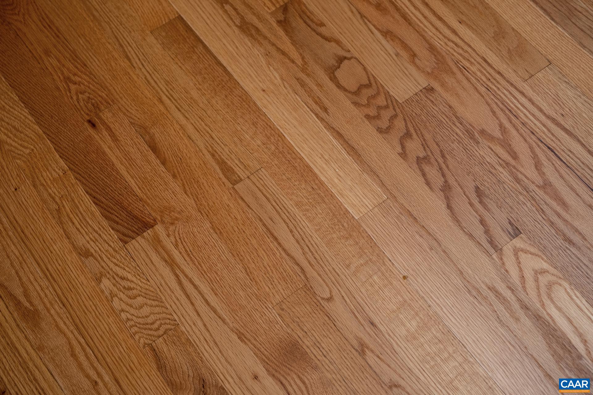 48 Maplevale Drive Palmyra, VA 22963 - Photo 34 of 47 a view of sky view