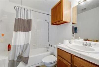 3115 Helms Street, Unit 316 Austin, TX 78705 - Photo 12 of 19 a bathroom with a sink a toilet and shower