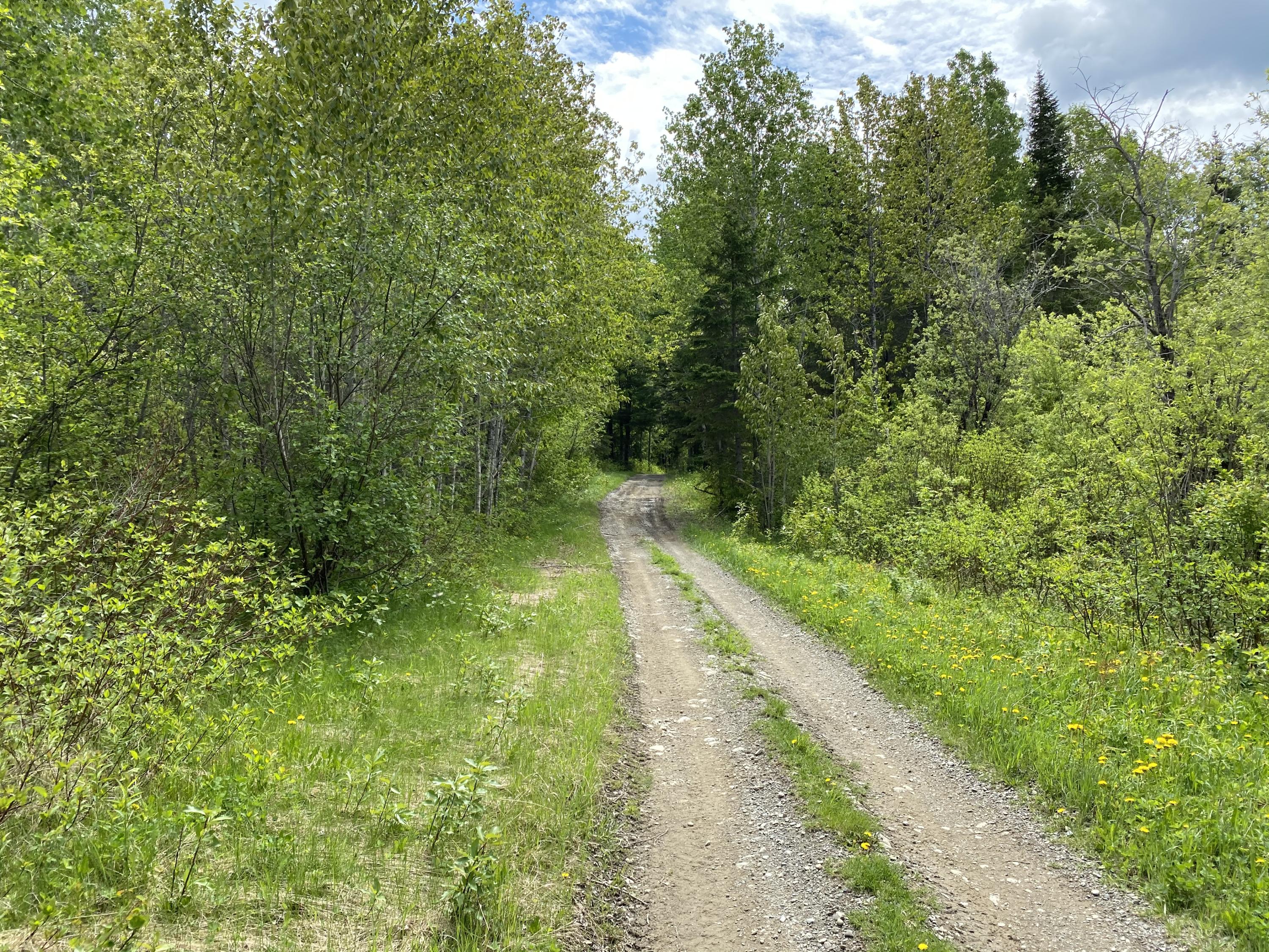 320 Parent Road Van Buren, ME 04785 - Photo 7 of 17 IMG_3665