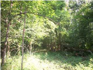 1500 Horecky Road Washington, LA 70589 - Photo 1 of 6 Gallery Image 1