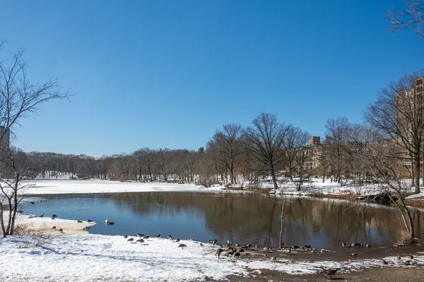 a view of a lake with a beach