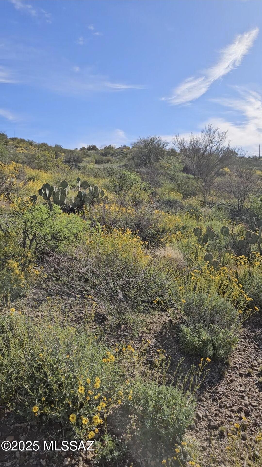 11650 South Lava Peak Road Vail, AZ 85641 - Photo 20 of 23