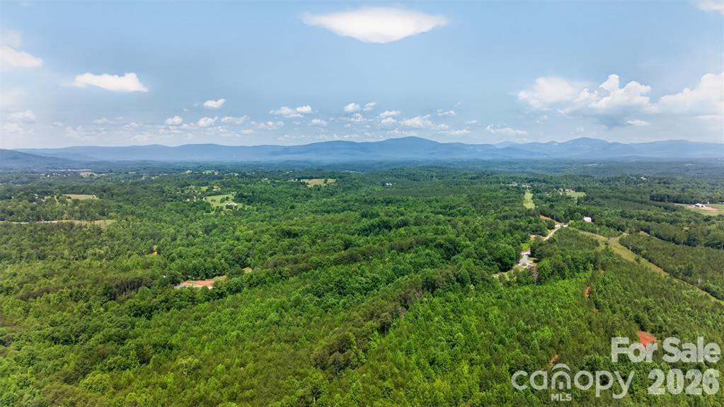 66 Misery Ridge Mill Spring, NC 28756 - Photo 37 of 43