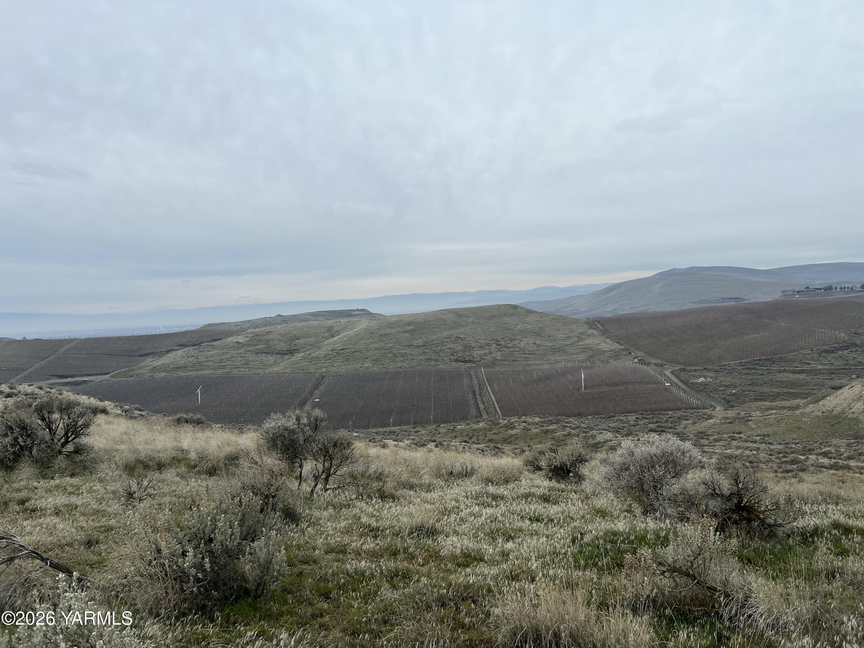 761 Nightingale Road Wapato, WA 98951 - Photo 14 of 51 a view of a dry yard with trees