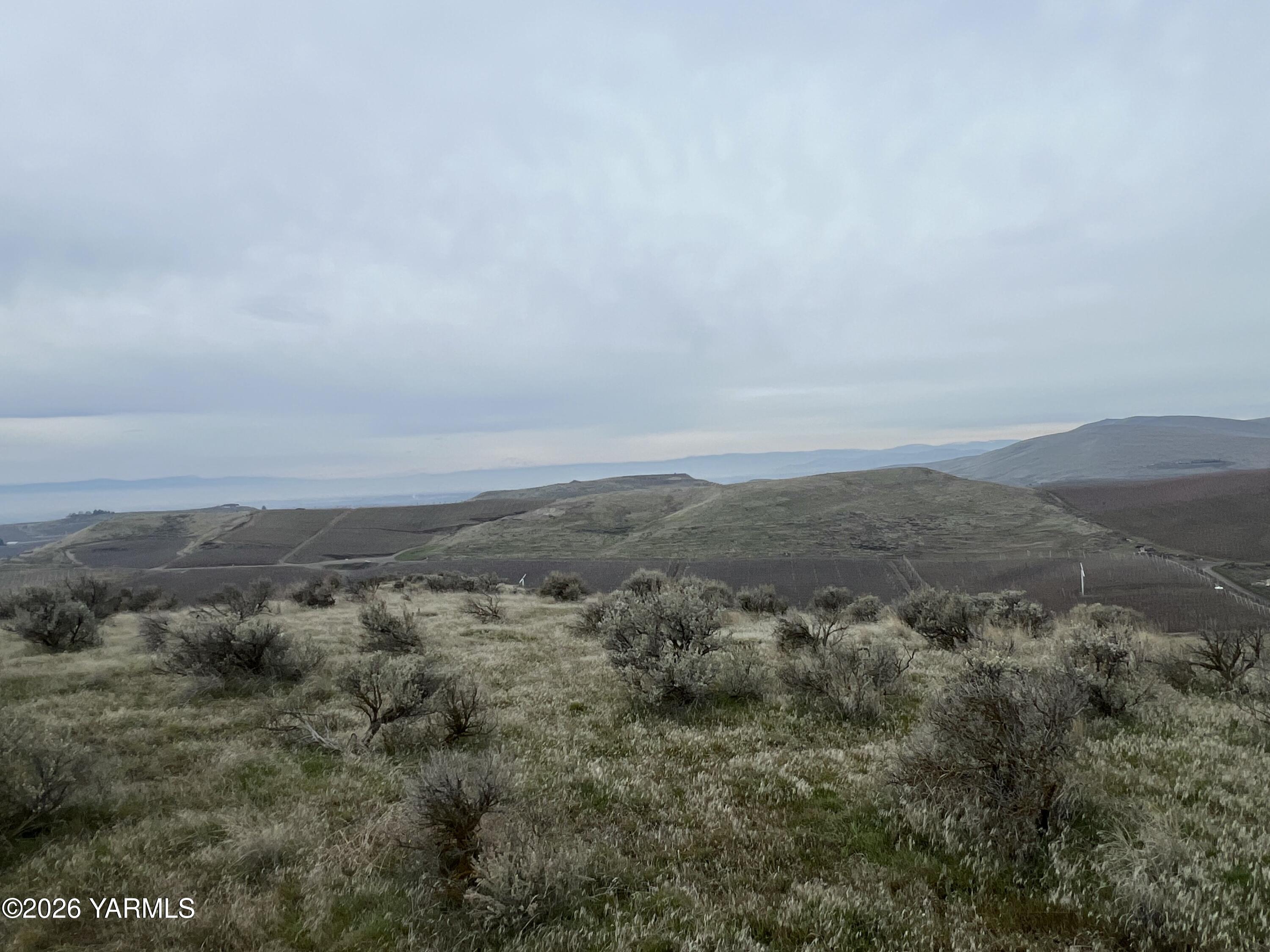 761 Nightingale Road Wapato, WA 98951 - Photo 19 of 51 an aerial view of houses covered in trees