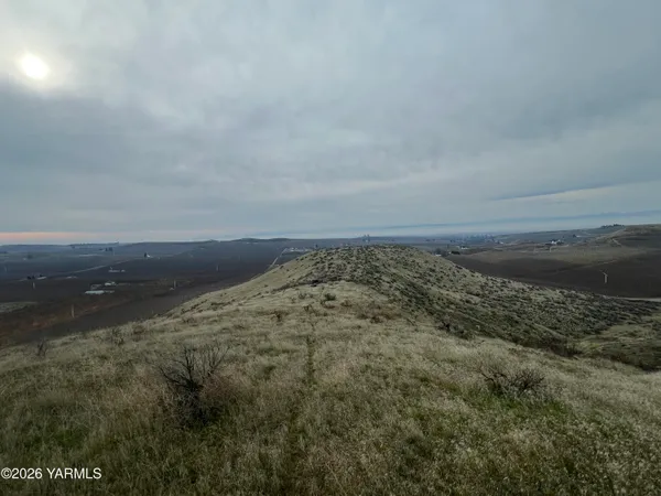 an aerial view of a forest