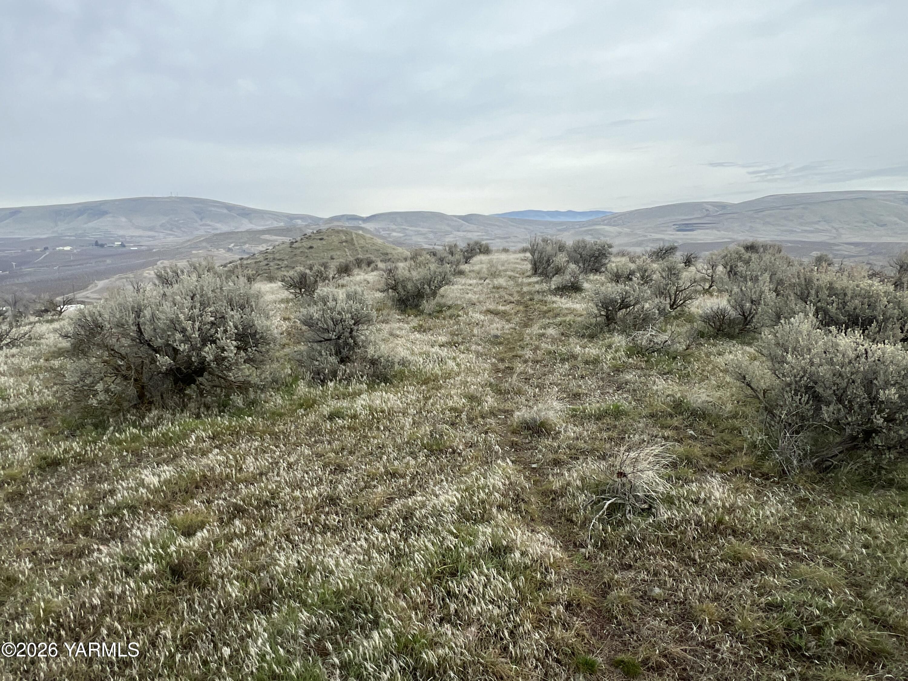 761 Nightingale Road Wapato, WA 98951 - Photo 23 of 51 an aerial view of houses covered in trees