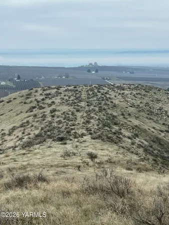 a view of beach and ocean