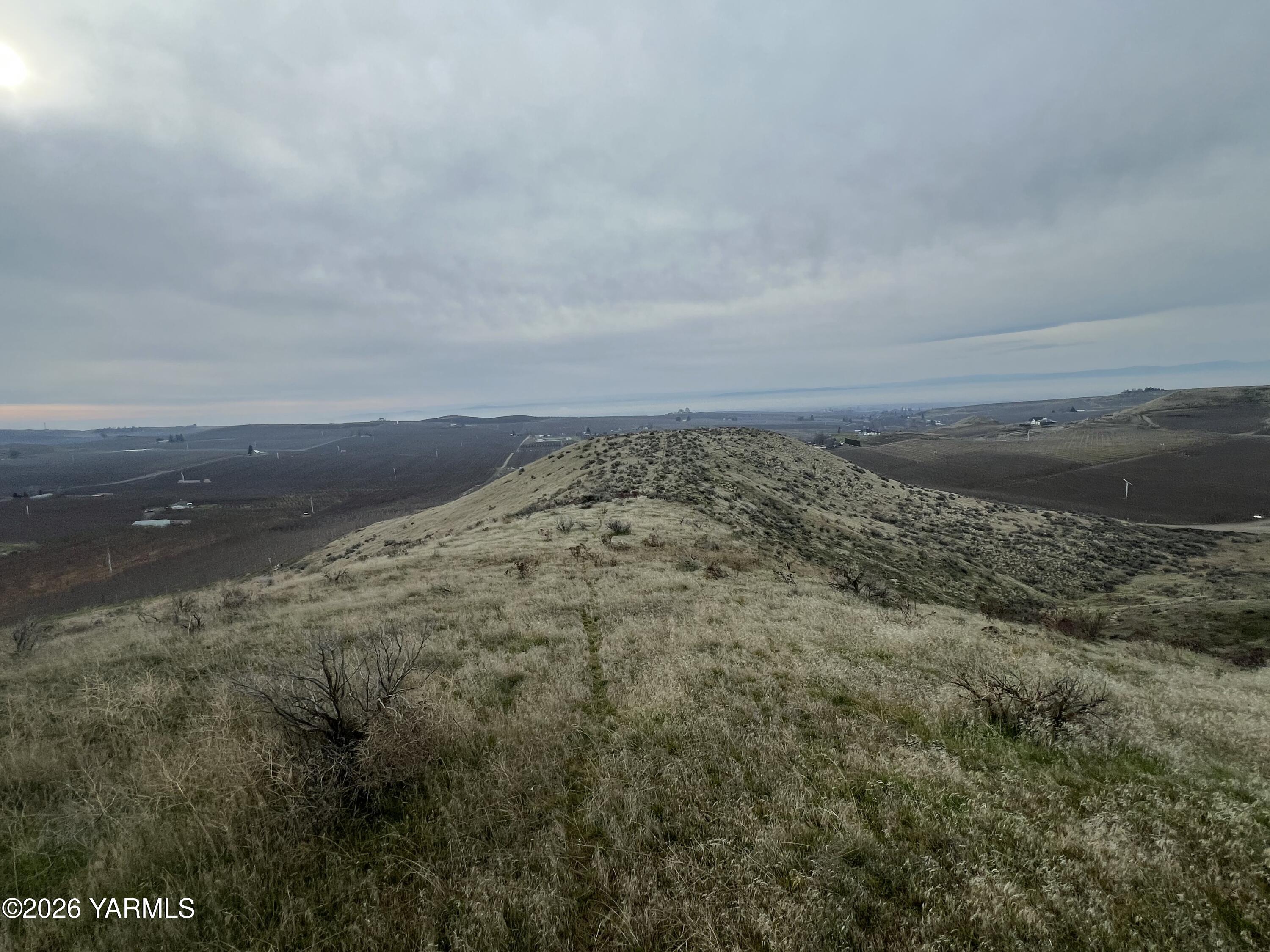 761 Nightingale Road Wapato, WA 98951 - Photo 38 of 51 a view of a dry yard with wooden floor