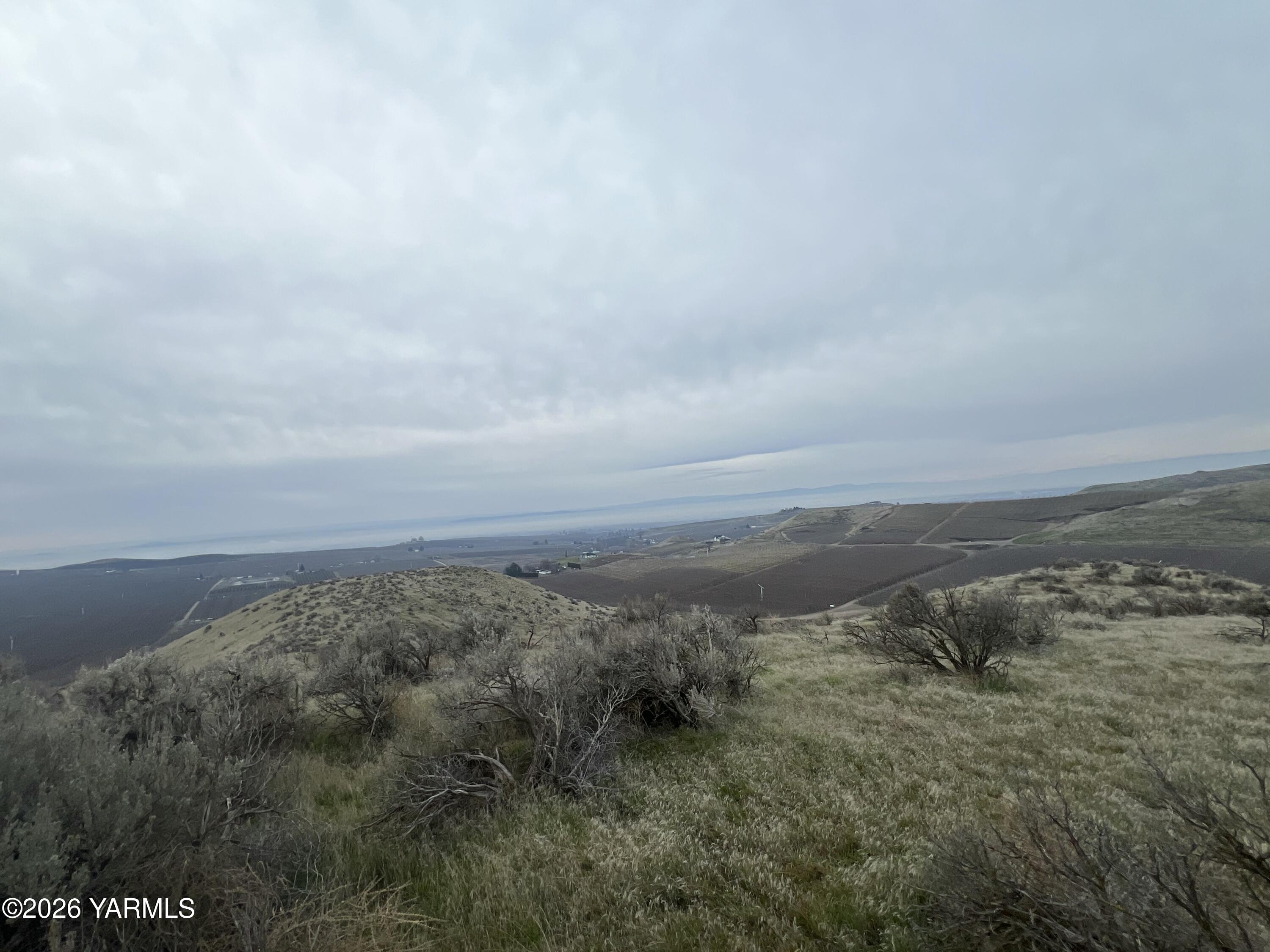 761 Nightingale Road Wapato, WA 98951 - Photo 40 of 51 a view of a field with an ocean