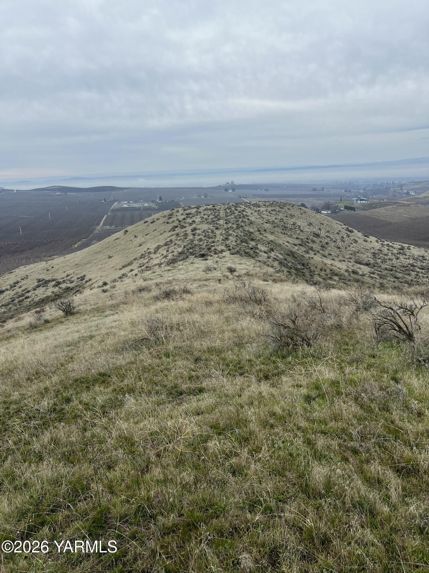 761 Nightingale Road Wapato, WA 98951 - Photo 43 of 51 IMG_4833