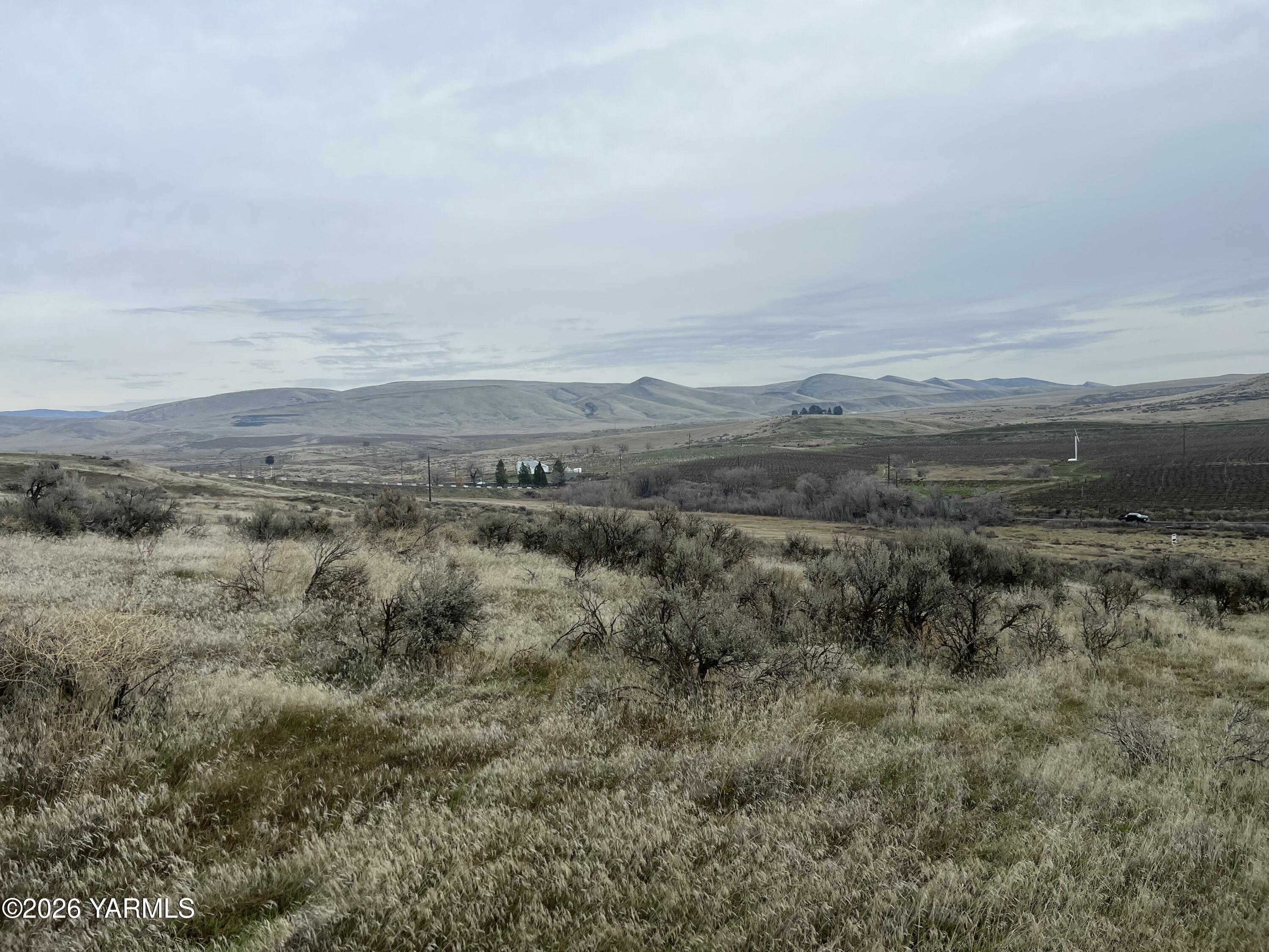 761 Nightingale Road Wapato, WA 98951 - Photo 49 of 51 a view of a field with trees in background